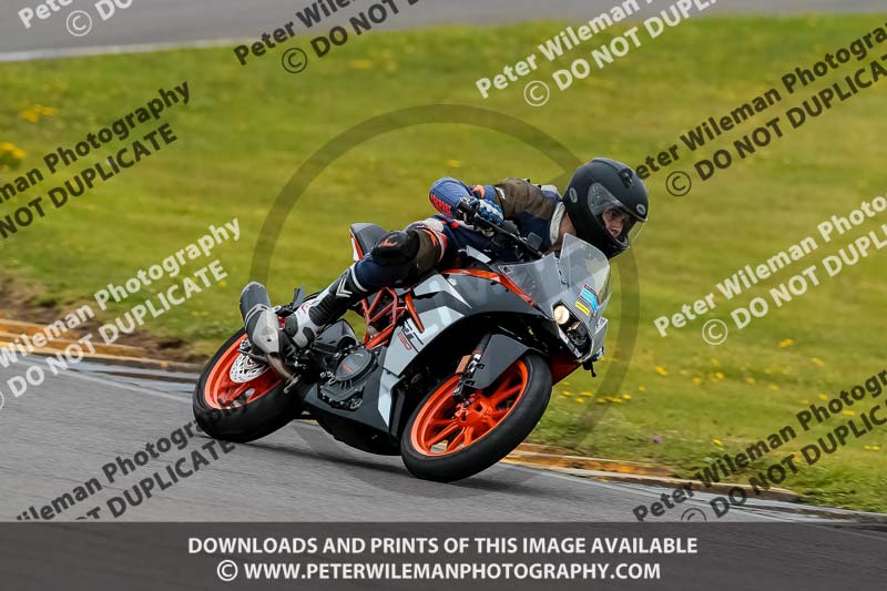 PJ Motorsport 2019;anglesey no limits trackday;anglesey photographs;anglesey trackday photographs;enduro digital images;event digital images;eventdigitalimages;no limits trackdays;peter wileman photography;racing digital images;trac mon;trackday digital images;trackday photos;ty croes